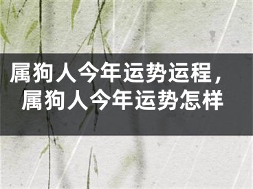 属狗人今年运势运程，属狗人今年运势怎样