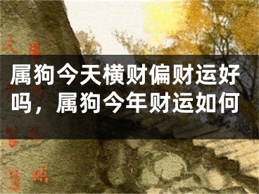 属狗今天横财偏财运好吗，属狗今年财运如何