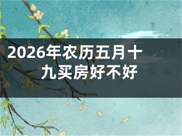 2026年农历五月十九买房好不好