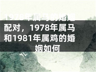 1978年属马的婚姻配对，1978年属马和1981年属鸡的婚姻如何