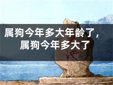 属狗今年多大年龄了，属狗今年多大了