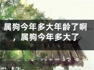 属狗今年多大年龄了啊，属狗今年多大了