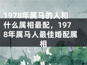 1978年属马的人和什么属相最配，1978年属马人最佳婚配属相