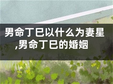 男命丁巳以什么为妻星,男命丁巳的婚姻