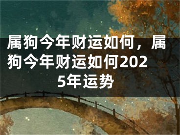属狗今年财运如何，属狗今年财运如何2025年运势