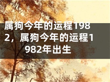 属狗今年的运程1982，属狗今年的运程1982年出生
