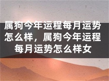 属狗今年运程每月运势怎么样，属狗今年运程每月运势怎么样女