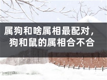 属狗和啥属相最配对，狗和鼠的属相合不合