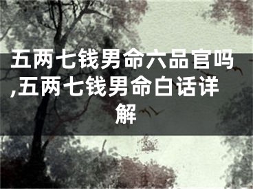 五两七钱男命六品官吗,五两七钱男命白话详解
