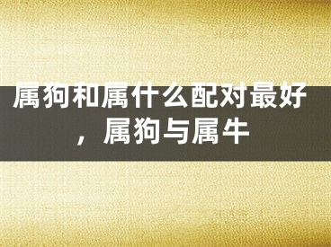 属狗和属什么配对最好，属狗与属牛