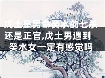 戊土是男命癸水的七杀还是正官,戊土男遇到癸水女一定有感觉吗
