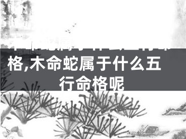 木命蛇属于什么五行命格,木命蛇属于什么五行命格呢