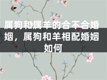 属狗和属羊的合不合婚姻，属狗和羊相配婚姻如何
