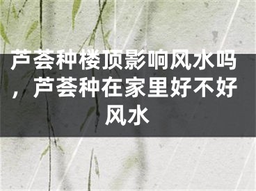 芦荟种楼顶影响风水吗，芦荟种在家里好不好风水