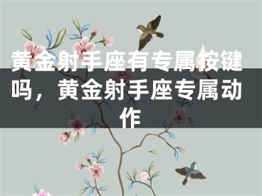 黄金射手座有专属按键吗,黄金射手座专属动作
