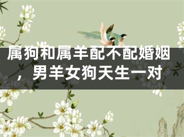 属狗和属羊配不配婚姻,男羊女狗天生一对