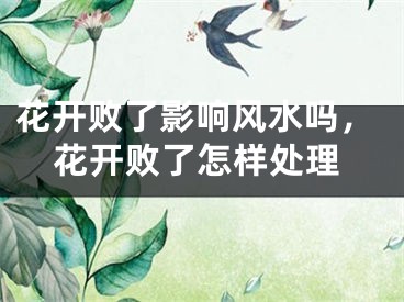 花开败了影响风水吗，花开败了怎样处理