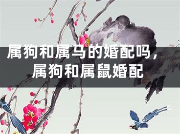 属狗和属马的婚配吗，属狗和属鼠婚配
