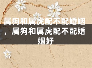属狗和属虎配不配婚姻，属狗和属虎配不配婚姻好
