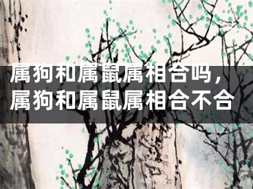 属狗和属鼠属相合吗，属狗和属鼠属相合不合