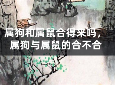 属狗和属鼠合得来吗，属狗与属鼠的合不合