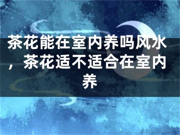 茶花能在室内养吗风水，茶花适不适合在室内养