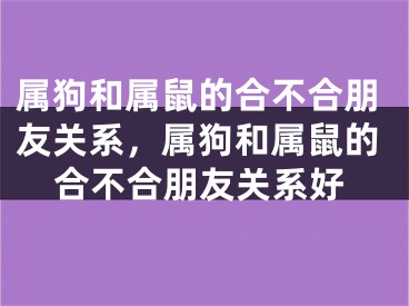 属狗和属鼠的合不合朋友关系，属狗和属鼠的合不合朋友关系好