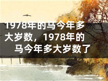 1978年的马今年多大岁数，1978年的马今年多大岁数了