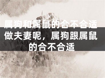 属狗和属鼠的合不合适做夫妻呢，属狗跟属鼠的合不合适