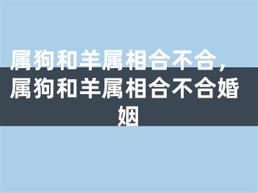 属狗和羊属相合不合，属狗和羊属相合不合婚姻