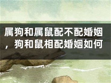 属狗和属鼠配不配婚姻，狗和鼠相配婚姻如何