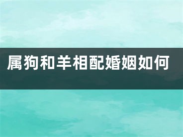 属狗和羊相配婚姻如何