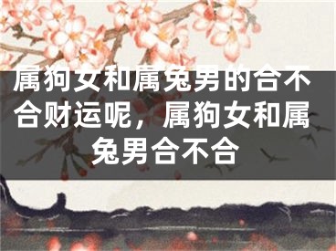 属狗女和属兔男的合不合财运呢，属狗女和属兔男合不合
