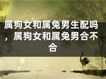 属狗女和属兔男生配吗，属狗女和属兔男合不合