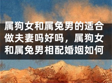 属狗女和属兔男的适合做夫妻吗好吗，属狗女和属兔男相配婚姻如何