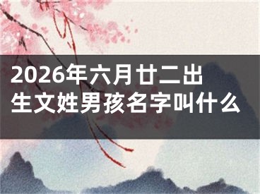 2026年六月廿二出生文姓男孩名字叫什么
