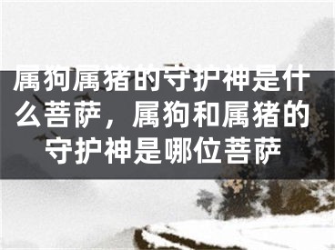 属狗属猪的守护神是什么菩萨，属狗和属猪的守护神是哪位菩萨