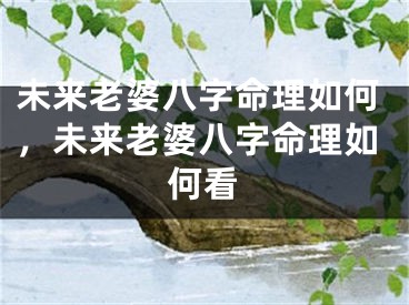 未来老婆八字命理如何，未来老婆八字命理如何看