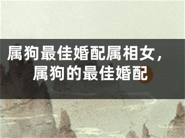 属狗最佳婚配属相女，属狗的最佳婚配