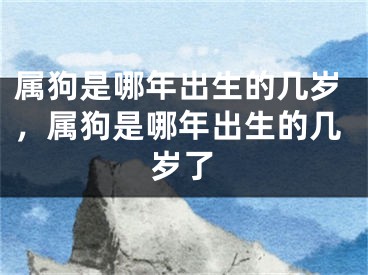 属狗是哪年出生的几岁，属狗是哪年出生的几岁了