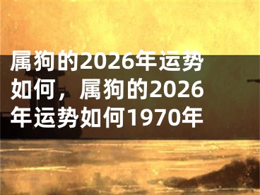 属狗的2026年运势如何，属狗的2026年运势如何1970年