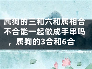 属狗的三和六和属相合不合能一起做成手串吗，属狗的3合和6合