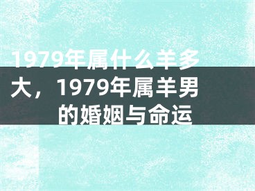 1979年属什么羊多大，1979年属羊男的婚姻与命运