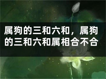 属狗的三和六和，属狗的三和六和属相合不合