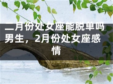二月份处女座能脱单吗男生，2月份处女座感情