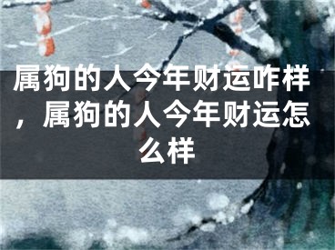 属狗的人今年财运咋样，属狗的人今年财运怎么样