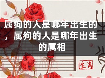 属狗的人是哪年出生的，属狗的人是哪年出生的属相