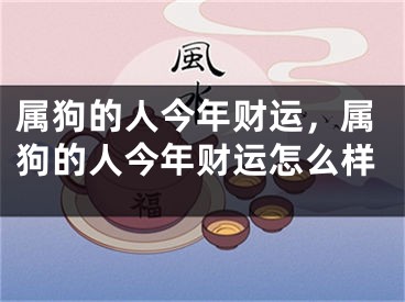 属狗的人今年财运，属狗的人今年财运怎么样