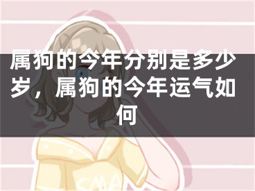 属狗的今年分别是多少岁，属狗的今年运气如何