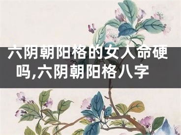 六阴朝阳格的女人命硬吗,六阴朝阳格八字